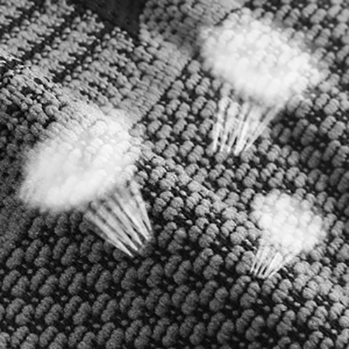 Close-up of a textured surface with white fluffy objects on it